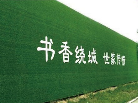 工程围挡草
